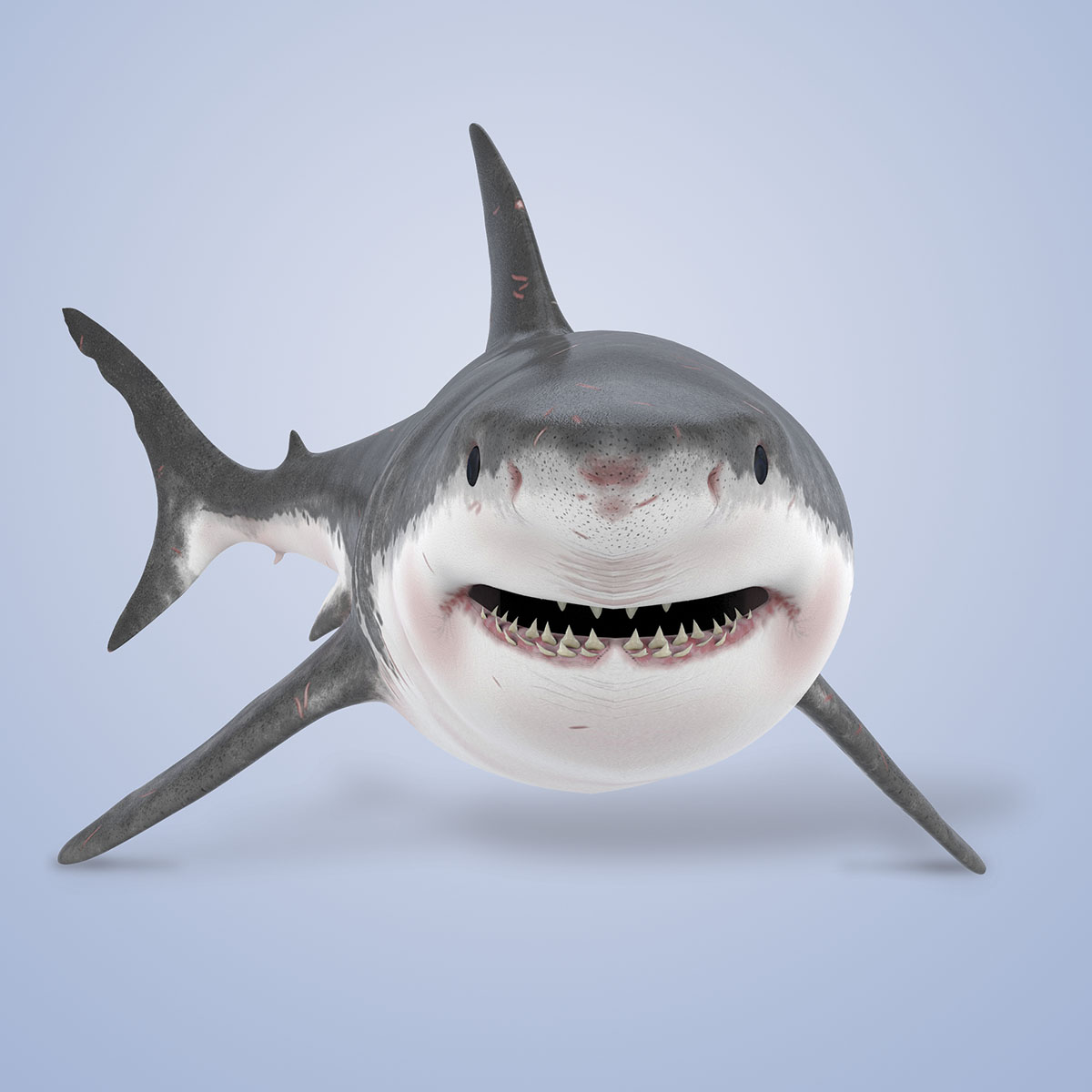 Great White Shark